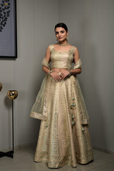 Launching Blanched Almond Tussar Silk Lehenga Choli