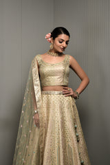 Launching Blanched Almond Tussar Silk Lehenga Choli