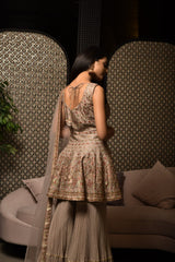 Tan Gnocchi Silk Embroidered Worked Sharara Suit