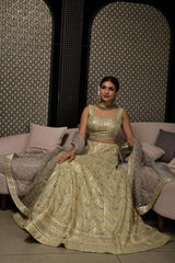 Elevate Light Green Organza Silk Lehenga Choli