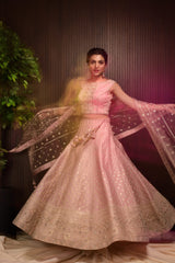 Designer Light Pink Organza Silk Lehenga Choli